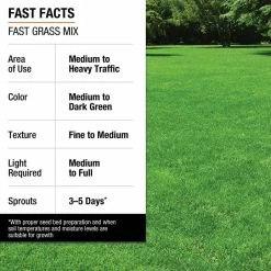 Vigoro 3 lbs. Fast Grass Seed Mix 26 Vigoro 3 lbs. Fast Grass Seed Mix -Vigoro Platers Store vigoro grass seed 25102 fa 1000