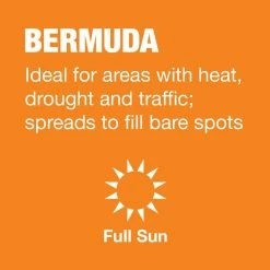 Vigoro 10 lbs. Bermuda Grass Seed Blend with Water Saver Seed Coating -Vigoro Platers Store vigoro grass seed 25502 a0 1000