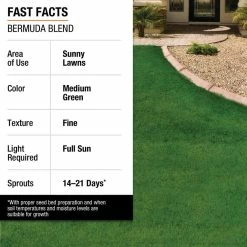 Vigoro 10 lbs. Bermuda Grass Seed Blend with Water Saver Seed Coating -Vigoro Platers Store vigoro grass seed 25502 fa 1000