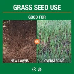 Vigoro 3 lbs. Tall Fescue Grass Seed Blend with Water Saver Seed Coating -Vigoro Platers Store vigoro grass seed 25684 4f 1000