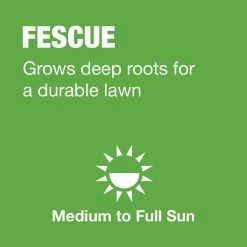 Vigoro 7 lbs. Tall Fescue Grass Seed Blend with Water Saver Seed Coating -Vigoro Platers Store vigoro grass seed 25685 a0 1000