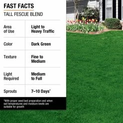 Vigoro 7 lbs. Tall Fescue Grass Seed Blend with Water Saver Seed Coating -Vigoro Platers Store vigoro grass seed 25685 fa 1000