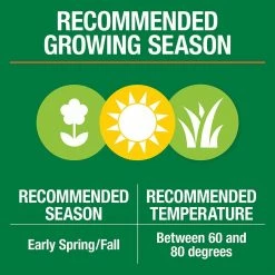 Vigoro 3 lbs. Dense Shade Grass Seed Mix with Water Saver Seed Coating -Vigoro Platers Store vigoro grass seed 25689 1f 1000