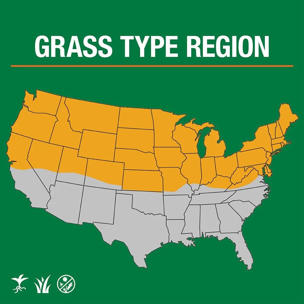 Vigoro 7 lbs. Dense Shade Grass Seed Mix with Water Saver Seed Coating 4 Vigoro 7 lbs. Dense Shade Grass Seed Mix with Water Saver Seed Coating - Image 2