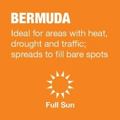 Vigoro 5 lbs. Bermuda Grass Seed Blend with Water Saver Seed Coating -Vigoro Platers Store vigoro grass seed 52335 a0 1000