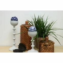 Vigoro 6 in. Grower's Choice Dracaena Indoor Plant in Small White Ribbed Plastic Decor Planter (2-Pack) -Vigoro Platers Store vigoro indoor plants co jc06 3 vi wh c3 1000