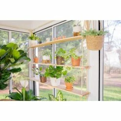 Vigoro 6 in. Golden Pothos Indoor Plant in Small White Ribbed Plastic Decor Planter (2-Pack) -Vigoro Platers Store vigoro indoor plants co poth 3 vi wh 1f 1000