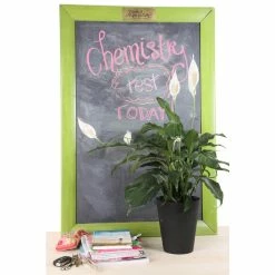 Vigoro 6 in. Peace Lily Indoor Plant in Small White Ribbed Plastic Decor Planter (2-Pack) -Vigoro Platers Store vigoro indoor plants co sy06 3 vi wh c3 1000