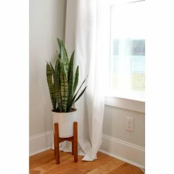 Vigoro 6 in. Sansevieria Snake Plant in Black Decor Pot -Vigoro Platers Store vigoro indoor plants sans6vigoro c3 1000