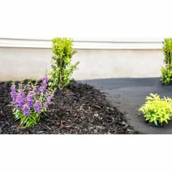 Vigoro 4 ft. x 100 ft. Weed Barrier Landscape Fabric 24 Vigoro 4 ft. x 100 ft. Weed Barrier Landscape Fabric -Vigoro Platers Store vigoro landscape fabric nmv04100b 44 1000