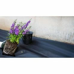 Vigoro 4 ft. x 200 ft. Point Bond Landscape Fabric -Vigoro Platers Store vigoro landscape fabric nmv04200b 77 1000