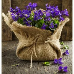 Vigoro 3 ft. x 24 ft. 100% Natural Burlap Landscape Fabric (2-Pack) 18 Vigoro 3 ft. x 24 ft. 100% Natural Burlap Landscape Fabric (2-Pack) -Vigoro Platers Store vigoro landscape fabric nmvb0324 2pk c3 1000