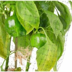 Vigoro 14 ft. x 14 ft. Polypropylene Bird Block Netting and Barrier -Vigoro Platers Store vigoro landscape fabric nmvbb1414 1d 1000