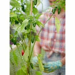 Vigoro 14 ft. x 45 ft. UV Treated Polypropylene Bird Block Netting and Barrier -Vigoro Platers Store vigoro landscape fabric nmvbb1445 fa 1000