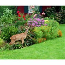 Vigoro 7 ft. x 100 ft. Polypropylene Deer Block Netting Barrier, UV Treated -Vigoro Platers Store vigoro landscape fabric nmvdb07100h 1d 1000