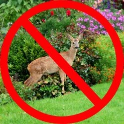 Vigoro 7 ft. x 100 ft. Polypropylene Deer Block Netting Barrier, UV Treated -Vigoro Platers Store vigoro landscape fabric nmvdb07100h 77 1000