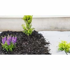 Vigoro 4 ft. x 50 ft. Matrix Grid Landscape Fabric -Vigoro Platers Store vigoro landscape fabric vpnm45085 31 1000