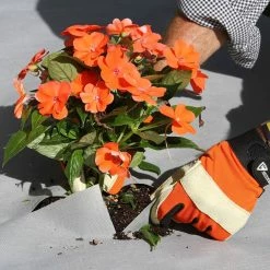 Vigoro 4 ft. x 50 ft. Matrix Grid Heavy-Duty Landscape Fabric (4-Pack) -Vigoro Platers Store vigoro landscape fabric vpnm45085 4pk 66 1000