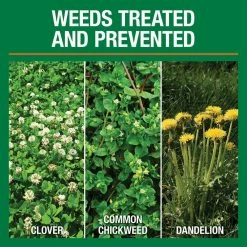 Vigoro 32 lbs. 10,000 sq. ft. Weed and Feed Weed Killer Plus Lawn Fertilizer for Florida Grass Types 14 Vigoro 32 lbs. 10,000 sq. ft. Weed and Feed Weed Killer Plus Lawn Fertilizer for Florida Grass Types -Vigoro Platers Store vigoro lawn fertilizers 22562 1 c3 1000