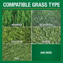 Vigoro Super Green 16 lbs. 6,220 sq. ft. Lawn Fertilizer with 5% Iron for Green Grass -Vigoro Platers Store vigoro lawn fertilizers 62201 4f 1000