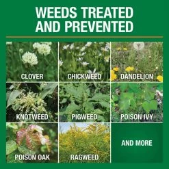 Vigoro 32 oz. 7,500 sq. ft. Spring Ready-to-Spray Concentrate Weed and Feed Lawn Fertilizer -Vigoro Platers Store vigoro lawn fertilizers hg 52511 2 c3 1000