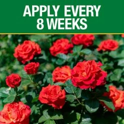 Vigoro 3.5 lb. All Season Rose Plant Food (12-6-10) 13 Vigoro 3.5 lb. All Season Rose Plant Food (12-6-10) -Vigoro Platers Store vigoro plant food fertilizer 124250 1f 1000