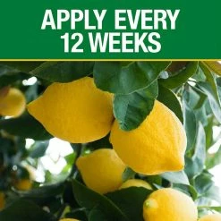 Vigoro 4.2 lb. All Season Fruit, Nut and Citrus Fertilizer Spikes (16-4-8) (15-Count) -Vigoro Platers Store vigoro plant food fertilizer 154306 1f 1000