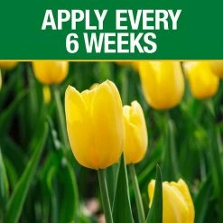 Vigoro 3.5 lb. All Season Bulb Fuel Plant Food (9-9-6) 9 Vigoro 3.5 lb. All Season Bulb Fuel Plant Food (9-9-6) -Vigoro Platers Store vigoro plant food fertilizer 156269 1f 1000