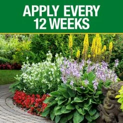 Vigoro 5 lb. All Season All Purpose Plant Food (12-5-7) -Vigoro Platers Store vigoro plant food fertilizer 611612 1f 1000