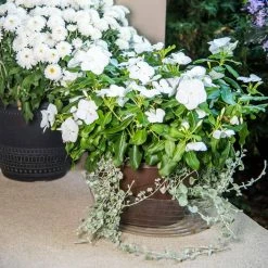 Vigoro 12 in. Plastic Deep Planter Liner 8 Vigoro 12 in. Plastic Deep Planter Liner -Vigoro Platers Store vigoro plant liners dl12vg 4f 1000