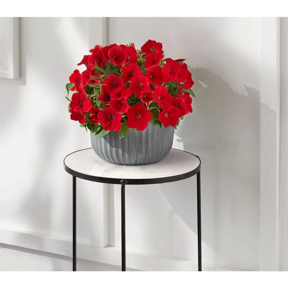 Vigoro 15 in. Marble Look Top Indoor Black Plant Stand 3 Vigoro 15 in. Marble Look Top Indoor Black Plant Stand