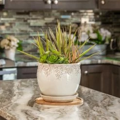 Vigoro 10 in. Bamboo Plant Saucer -Vigoro Platers Store vigoro planter saucers bbs10vg 1f 1000