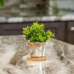 Vigoro 4 in. Bamboo Plant Saucer -Vigoro Platers Store vigoro planter saucers bbs4vg 1f 1000