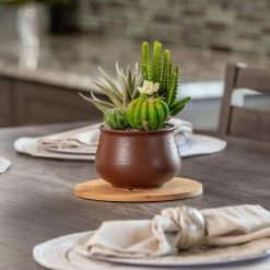 Vigoro 8 in. Bamboo Plant Saucer -Vigoro Platers Store vigoro planter saucers bbs8vg 44 1000