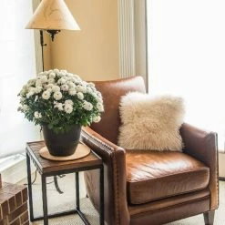 Vigoro 10 in. Cork Mat 11 Vigoro 10 in. Cork Mat -Vigoro Platers Store vigoro planter saucers cm10phbdi 1f 1000