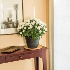 Vigoro 10 in. Cork Mat 10 Vigoro 10 in. Cork Mat -Vigoro Platers Store vigoro planter saucers cm10phbdi 4f 1000