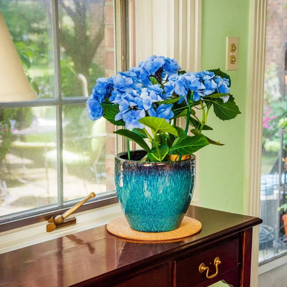 Vigoro 10 in. Cork Mat 4 Vigoro 10 in. Cork Mat - Image 2