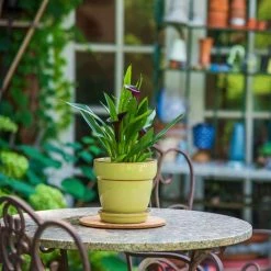 Vigoro 6 in. Cork Mat -Vigoro Platers Store vigoro planter saucers cm6phbdi fa 1000