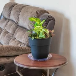 Vigoro 10 in. Heavy Duty Plant Saucer -Vigoro Platers Store vigoro planter saucers sp10vg 4f 1000