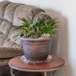 Vigoro 14 in. Heavy Duty Plant Saucer -Vigoro Platers Store vigoro planter saucers sp14vg 44 1000