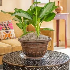 Vigoro 14 in. Heavy Duty Plant Saucer -Vigoro Platers Store vigoro planter saucers sp14vg fa 1000