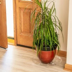 Vigoro 16 in. Heavy Duty Planter Saucer 9 Vigoro 16 in. Heavy Duty Planter Saucer -Vigoro Platers Store vigoro planter saucers sp16vg 4f 1000