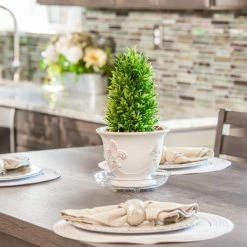 Vigoro 6 in. Heavy Duty Plant Saucer -Vigoro Platers Store vigoro planter saucers sp6vg 1f 1000