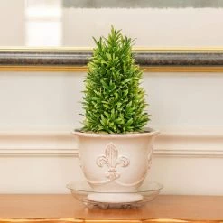 Vigoro 8 in. Heavy Duty Plant Saucer 9 Vigoro 8 in. Heavy Duty Plant Saucer -Vigoro Platers Store vigoro planter saucers sp8vg 1f 1000