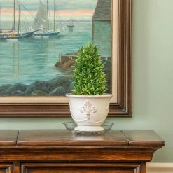 Vigoro 8 in. Heavy Duty Plant Saucer 10 Vigoro 8 in. Heavy Duty Plant Saucer -Vigoro Platers Store vigoro planter saucers sp8vg 44 1000