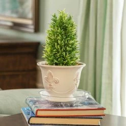 Vigoro 8 in. Heavy Duty Plant Saucer 11 Vigoro 8 in. Heavy Duty Plant Saucer -Vigoro Platers Store vigoro planter saucers sp8vg fa 1000