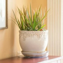 Vigoro 10 in. Plastic Plant Saucer -Vigoro Platers Store vigoro planter saucers vs10vg fa 1000