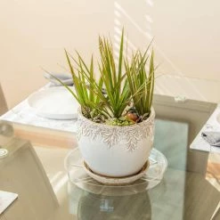 Vigoro 12 in. Plastic Plant Saucer -Vigoro Platers Store vigoro planter saucers vs12vg 44 1000