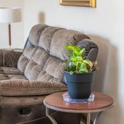 Vigoro 12 in. Plastic Plant Saucer -Vigoro Platers Store vigoro planter saucers vs12vg 4f 1000