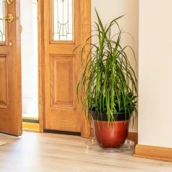 Vigoro 14 in. Plastic Plant Saucer -Vigoro Platers Store vigoro planter saucers vs14vg 1f 1000